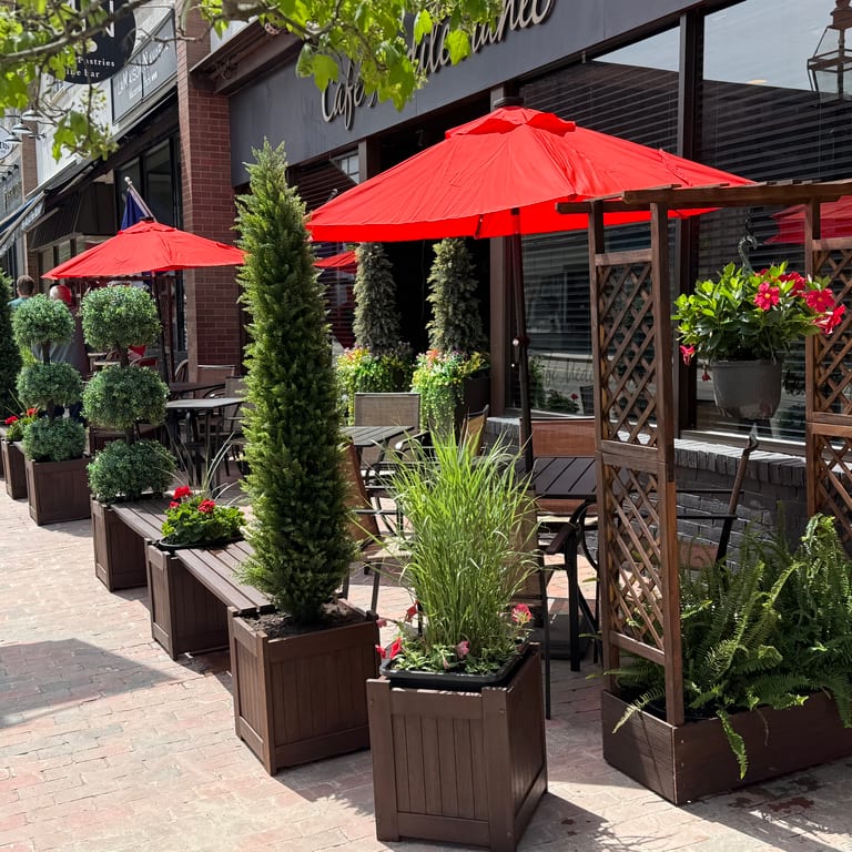 Cafe Mediterraneo Rewards